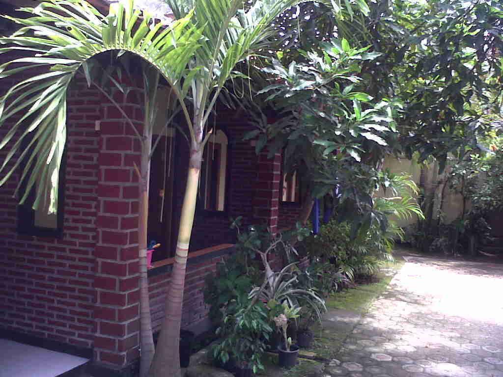 Rinjani Homestay Pangandaran Dış mekan fotoğraf